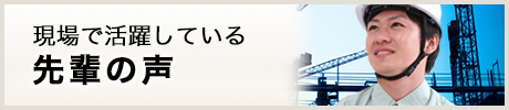 現場で活躍する先輩たちの声