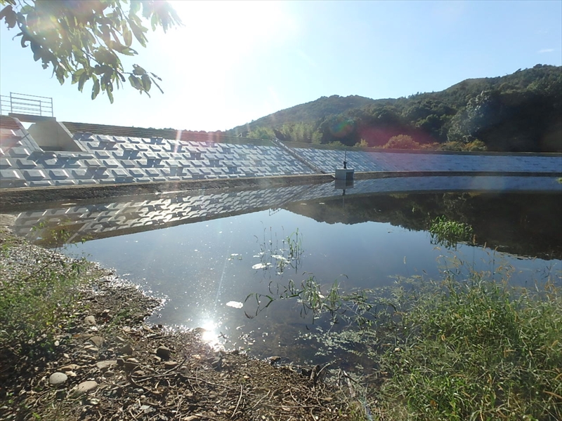 農村地域防災減災事業(ため池整備)神ノ子池地区　神ノ子池堤体工事